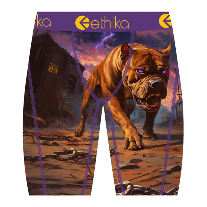 Ethika Men Terror Terrier Boxer (Multi)