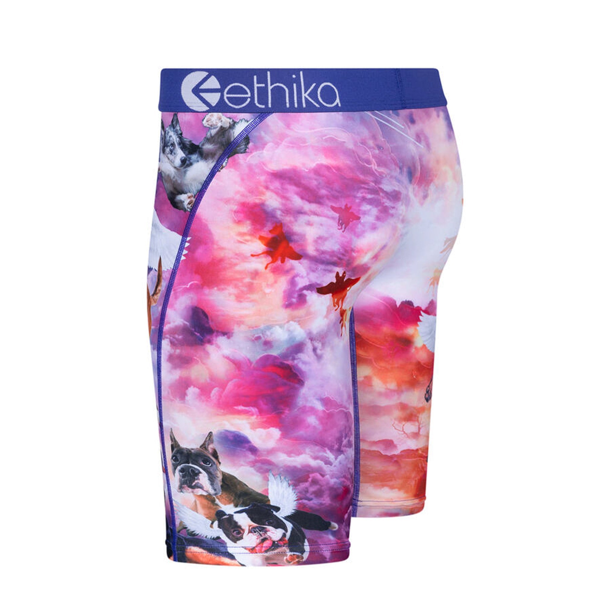 Ethika Boys Dog Heaven Boxer (Multi)-Nexus Clothing