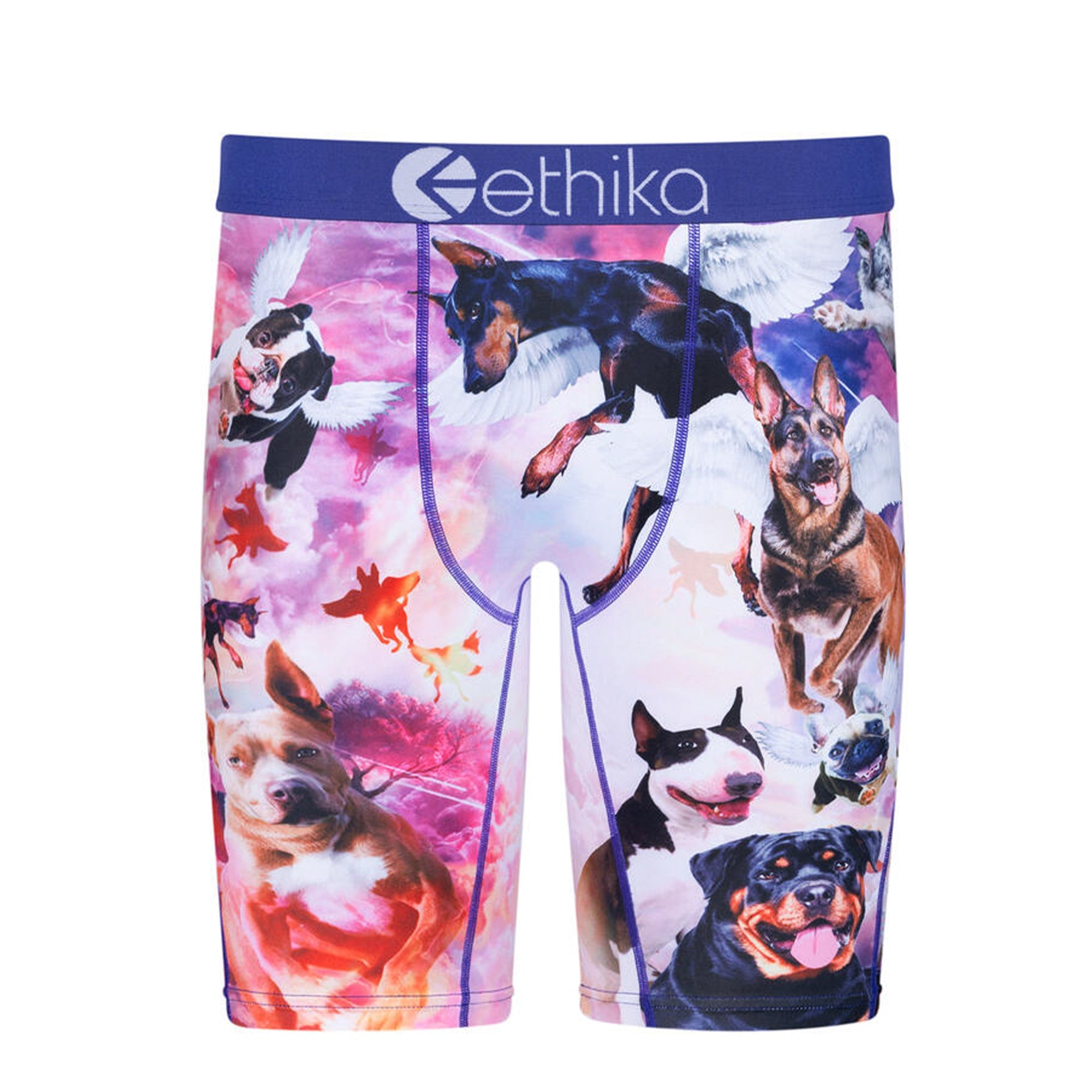 Ethika Boys Dog Heaven Boxer (Multi)-Multi-Small-Nexus Clothing