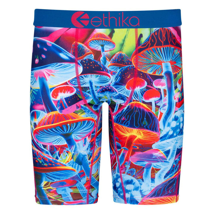 Ethika Men Another Level Boxer (Multi)-Multi-Small-Nexus Clothing