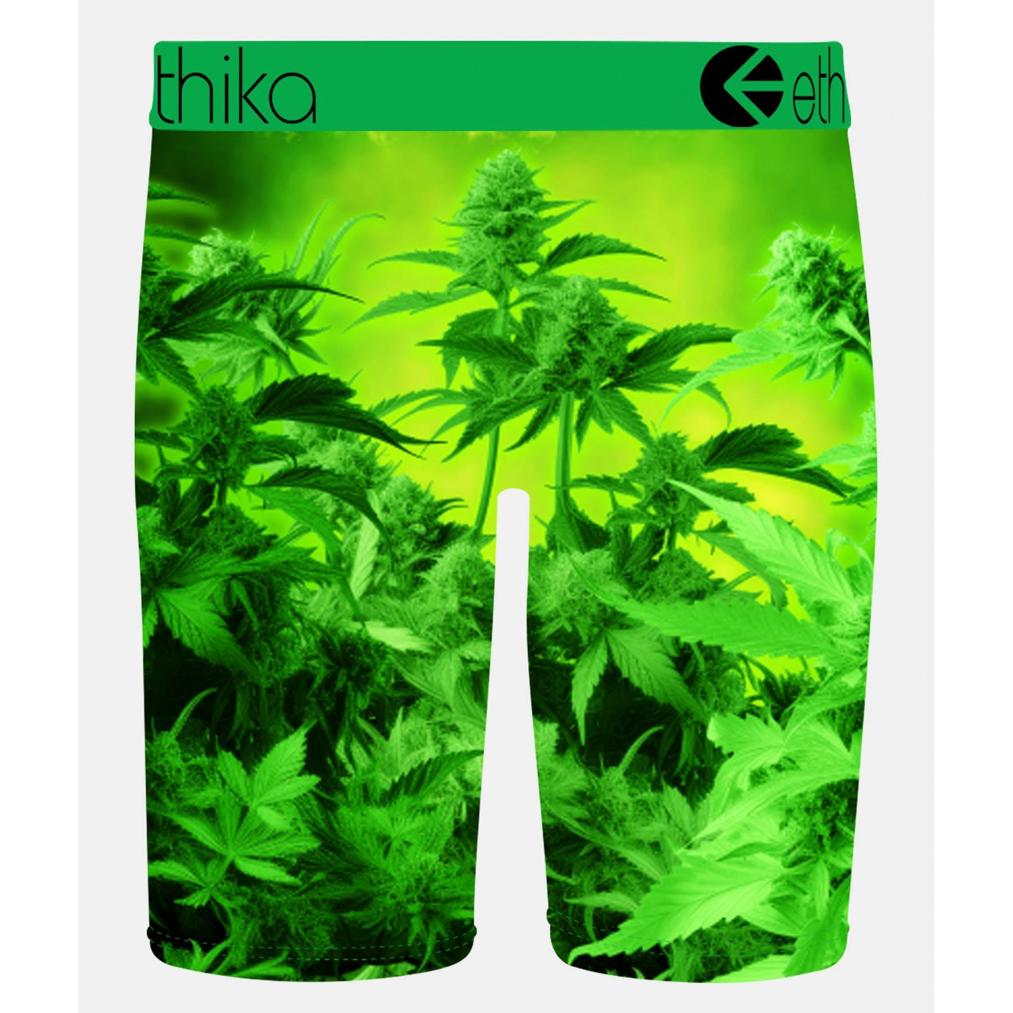 Ethika Men Emjay Boxer (Green)-Nexus Clothing