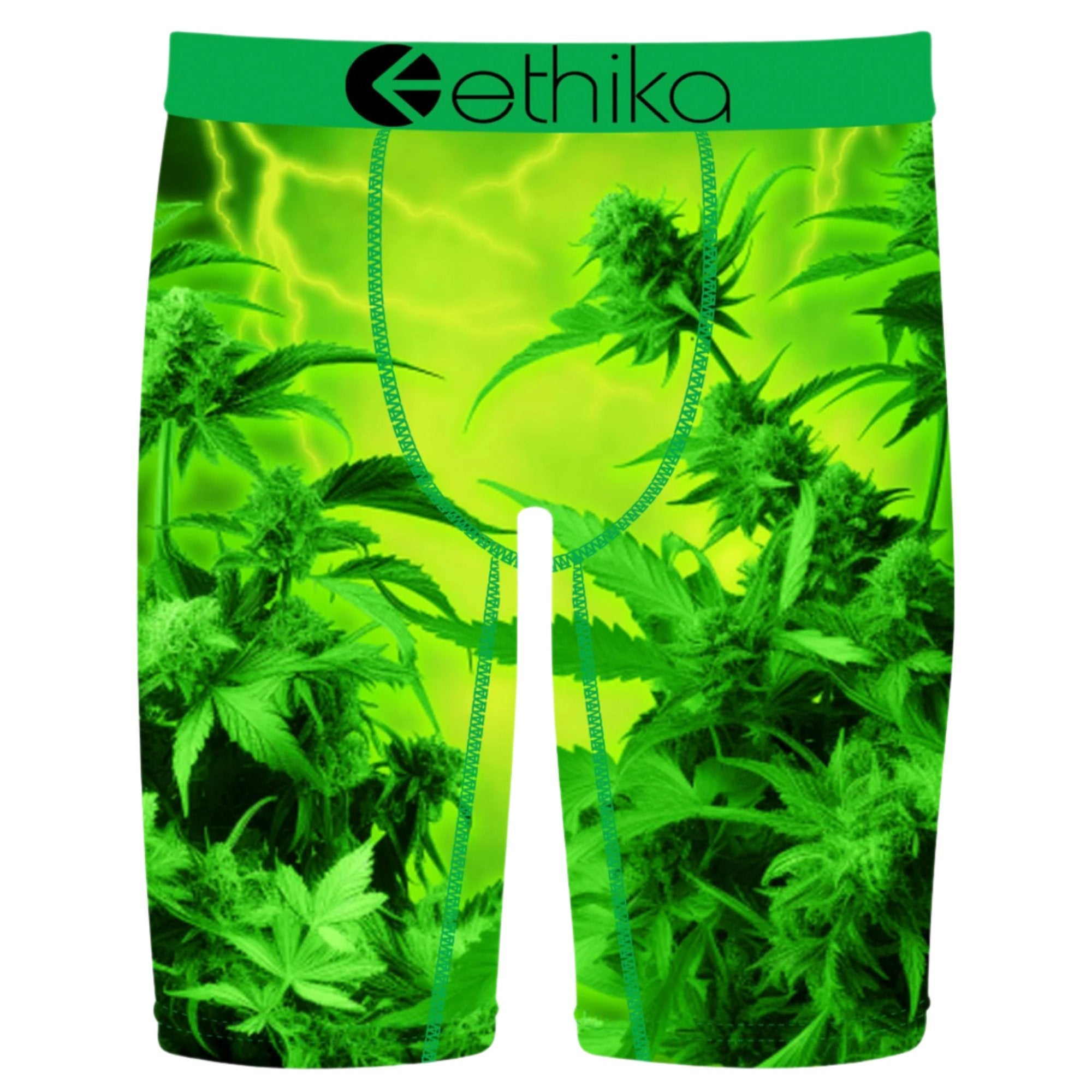 Ethika Men Emjay Boxer (Green)-Green-Small-Nexus Clothing