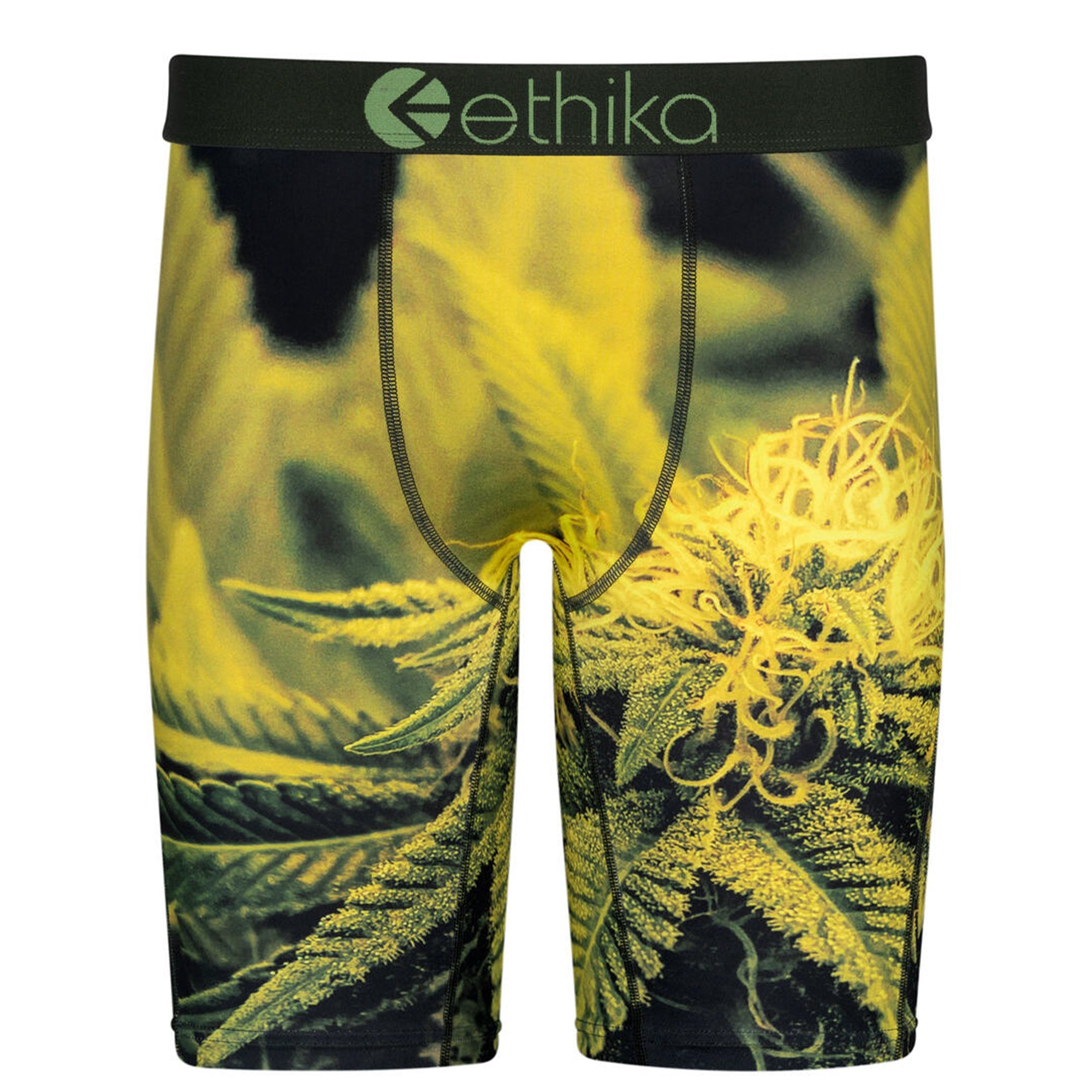 Ethika Men Green Haze Boxer (Green)-Green-Small-Nexus Clothing