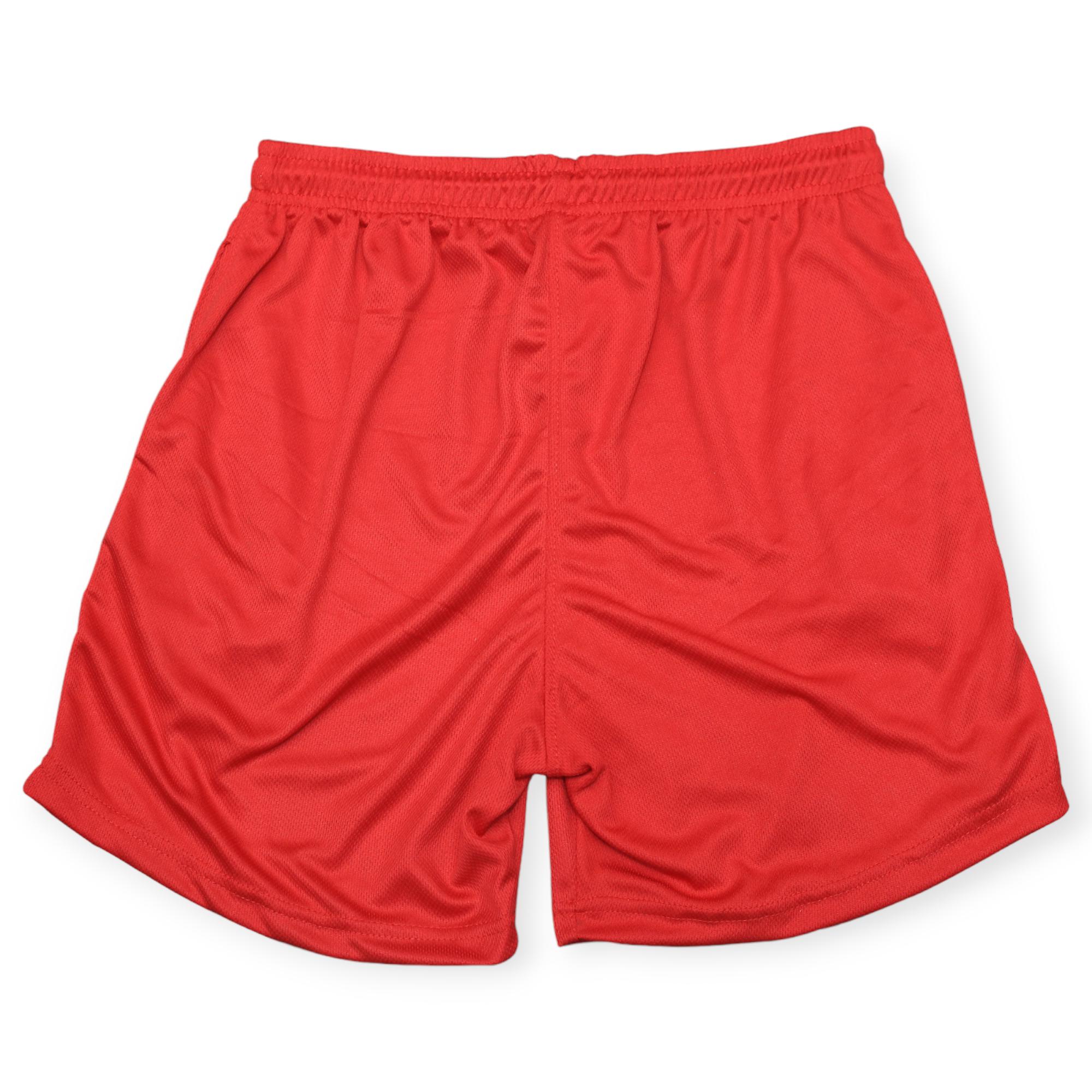 Nexus Clothing Men Basic Solid Mesh Breathable Mesh Shorts (Red)-Nexus Clothing
