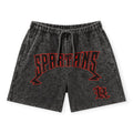 Rebel Minds Men Spartans Washed F/T Comfort Shorts - Rust