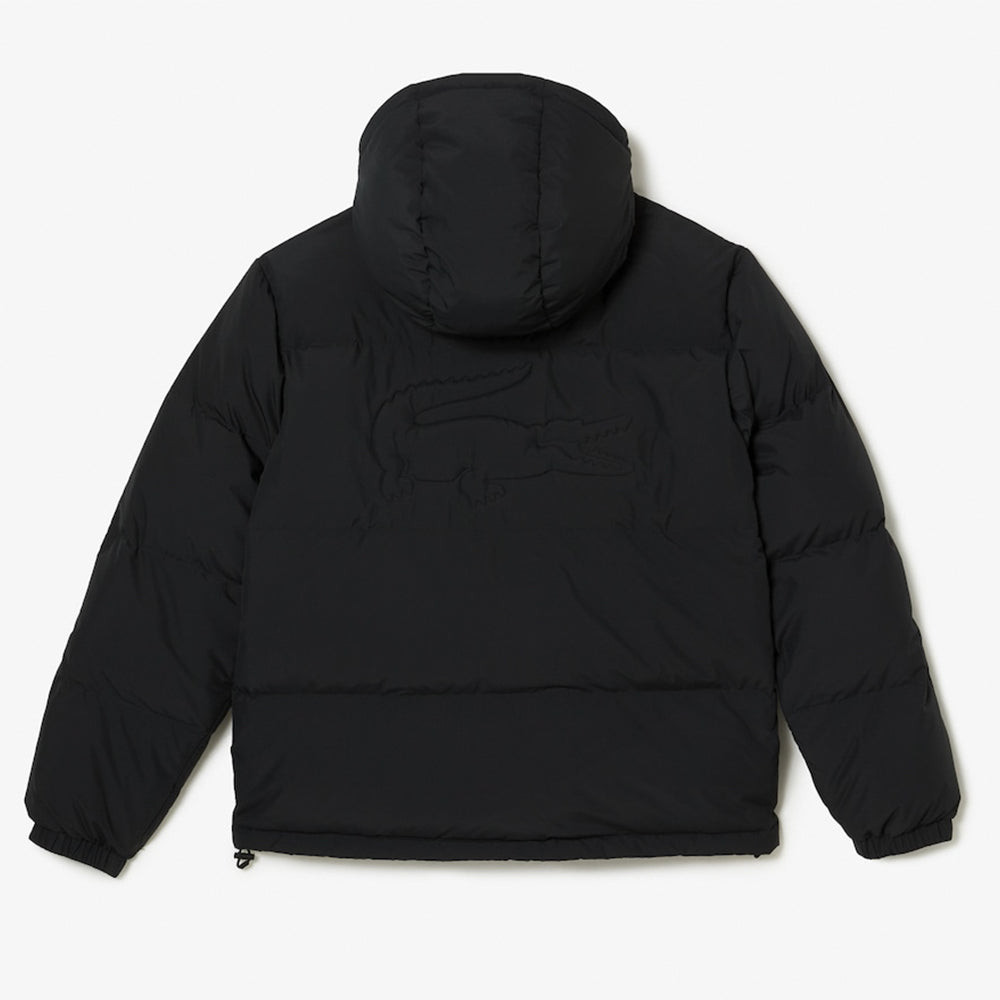 LACOSTE Men's Quilted Water-Repellent Jacket (Black)-Nexus Clothing