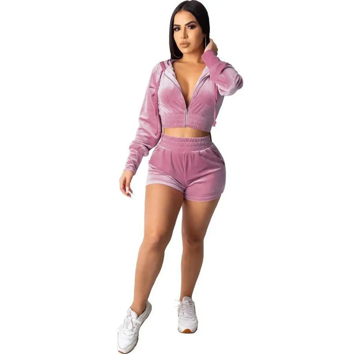 Supply Demand Women Kendall Velour Top Rose Powder-Nexus Clothing